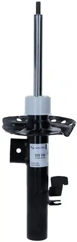 SACHS 313 748