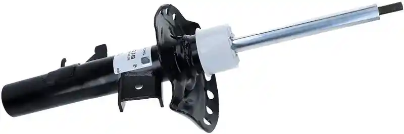 SACHS 313 749