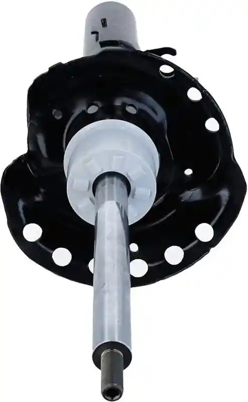 SACHS 313 749