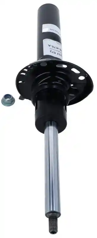SACHS 317 572