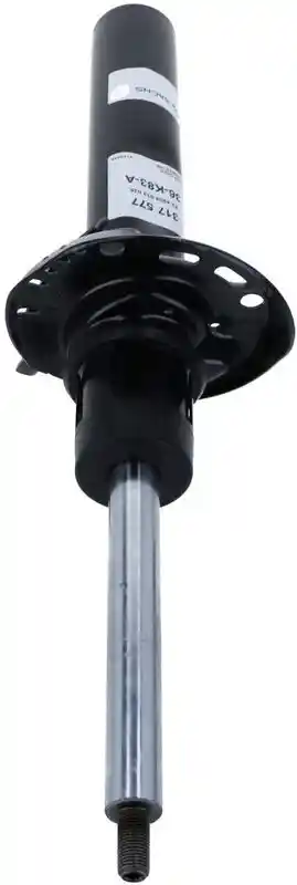 SACHS 317 577