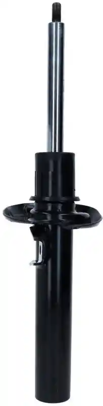 SACHS 317 577