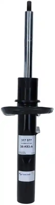SACHS 317 577