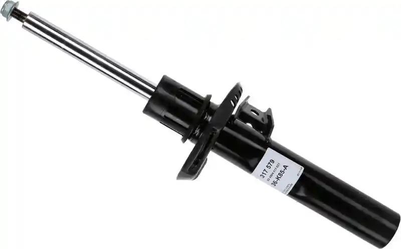 SACHS 317 579