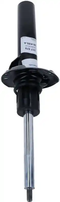 SACHS 317 579