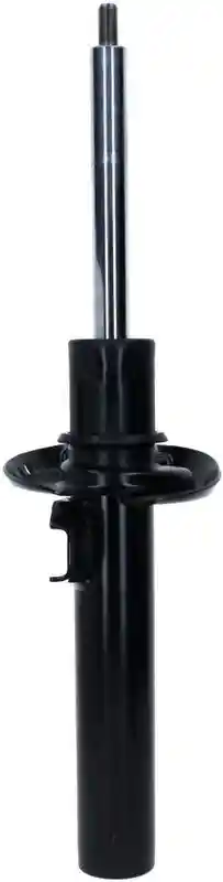 SACHS 317 579