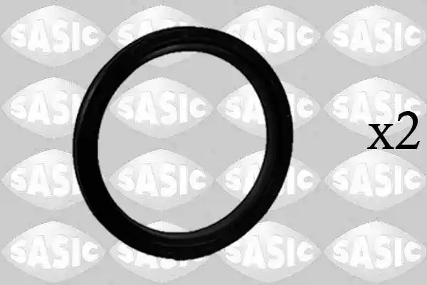 SASIC 1950018