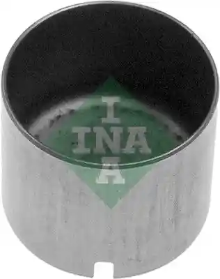 Schaeffler INA 421 0012 10
