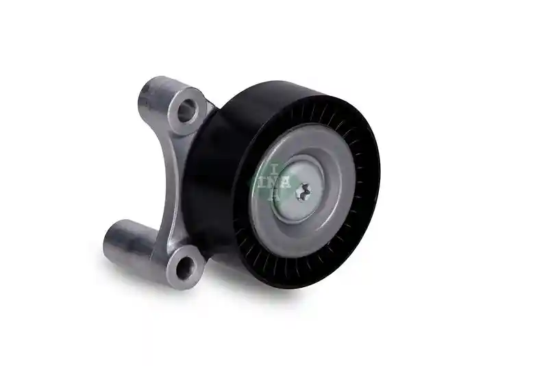 Schaeffler INA 532 1002 10