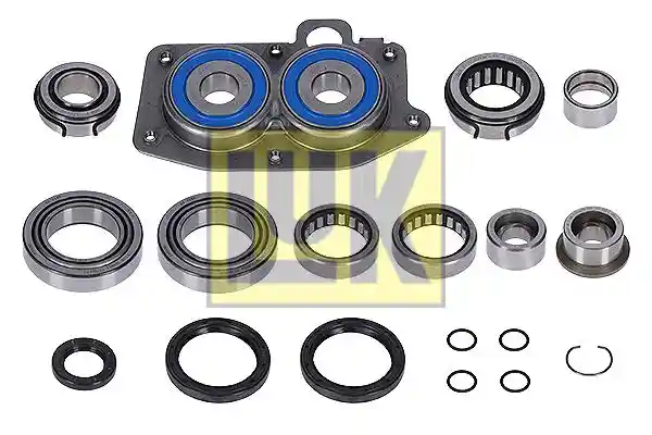 Schaeffler LuK 462 0384 10