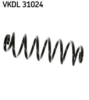 SKF VKDL 31024