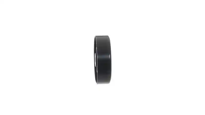 SKF VKM 66006