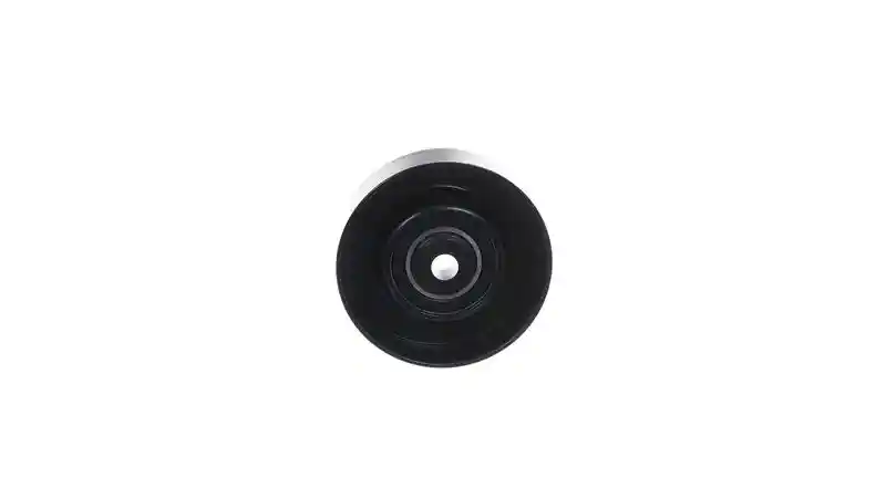 SKF VKM 66006