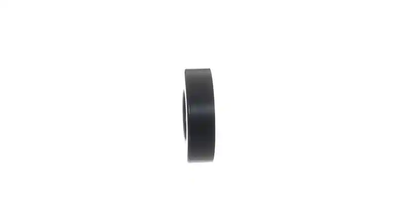 SKF VKM 66006
