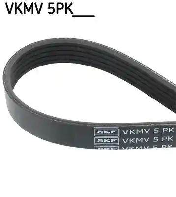 SKF VKMV 5PK1094 SKF VKMV 5PK1094