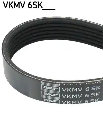 SKF VKMV 6SK1019 SKF VKMV 6SK1019