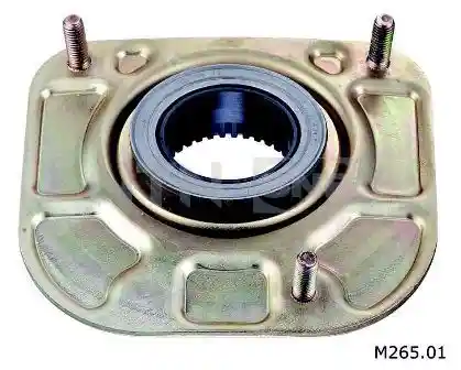 SNR M265.01