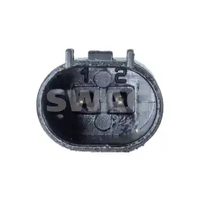 SWAG 33 10 2564