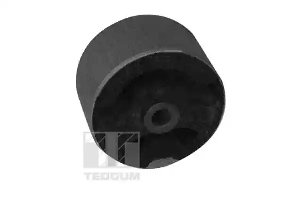 TEDGUM 00289581