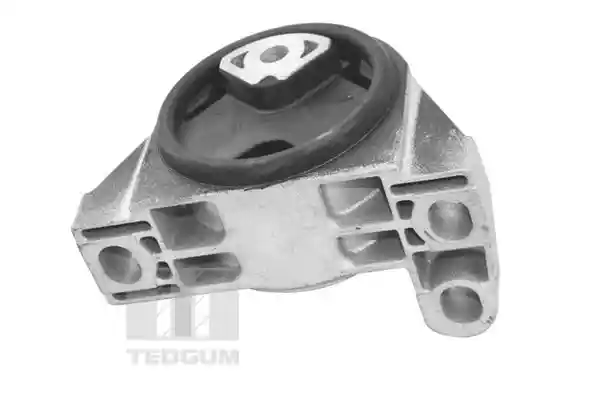 TEDGUM TED16678