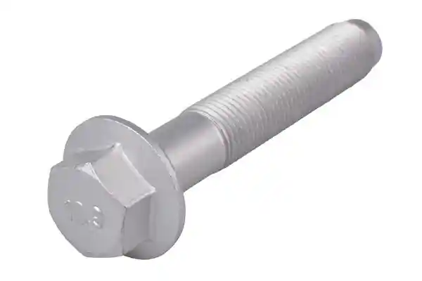 TEDGUM TED31153