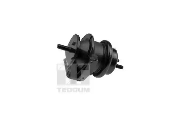 TEDGUM TED95509