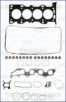 TRISCAN 598-2699