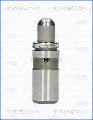 TRISCAN 80-24010 TRISCAN 80-24010
