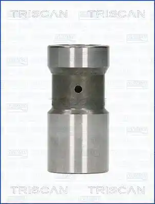 TRISCAN 80-29004