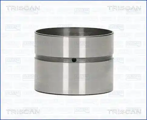 TRISCAN 80-29007 TRISCAN 80-29007