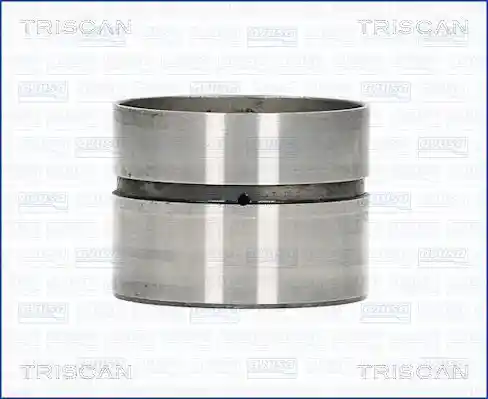 TRISCAN 80-29010