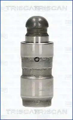 TRISCAN 80-29011