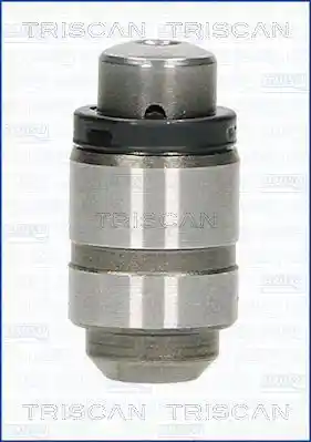 TRISCAN 80-42002