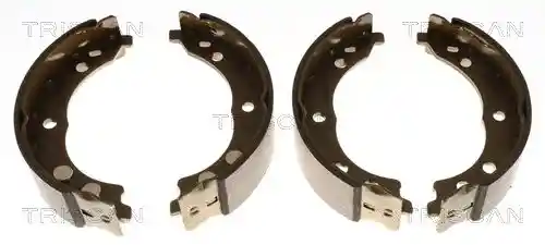TRISCAN 8100 10010