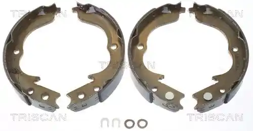 TRISCAN 8100 10029