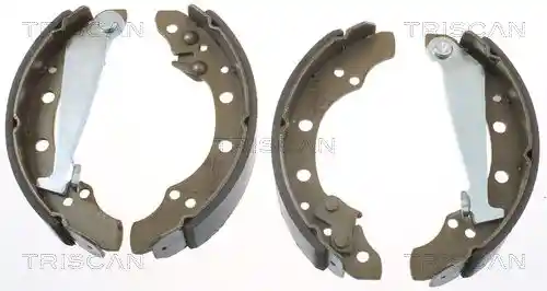 TRISCAN 8100 10520