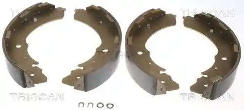 TRISCAN 8100 10631 TRISCAN 8100 10631