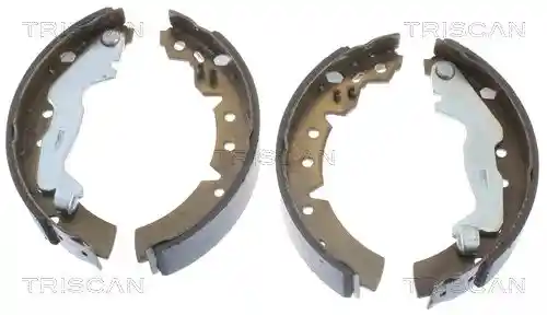 TRISCAN 8100 13031 TRISCAN 8100 13031