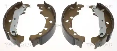 TRISCAN 8100 16006 TRISCAN 8100 16006