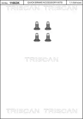 TRISCAN 8105 116004
