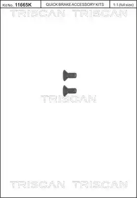 TRISCAN 8105 116006