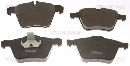 TRISCAN 8110 10565 TRISCAN 8110 10565