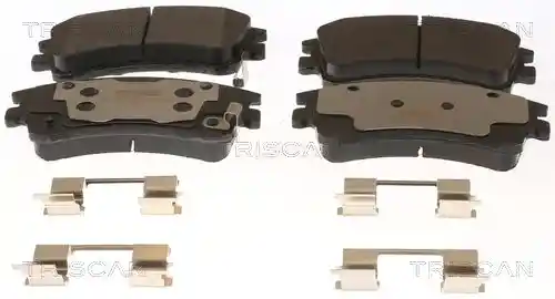 TRISCAN 8110 50013 TRISCAN 8110 50013