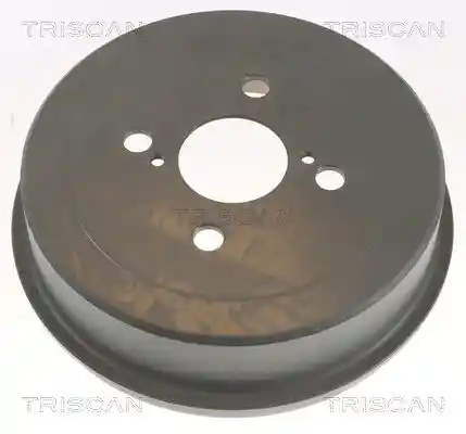 TRISCAN 8120 13209C