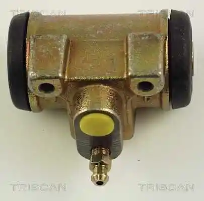 TRISCAN 8130 10043 TRISCAN 8130 10043