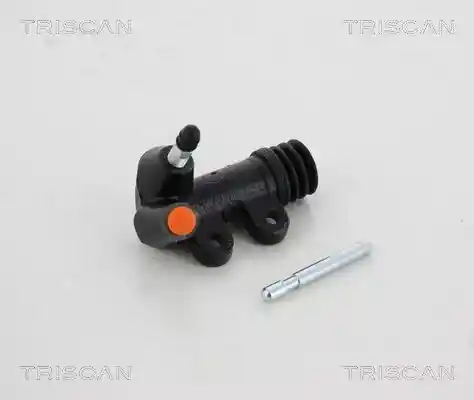 TRISCAN 8130 13306 TRISCAN 8130 13306