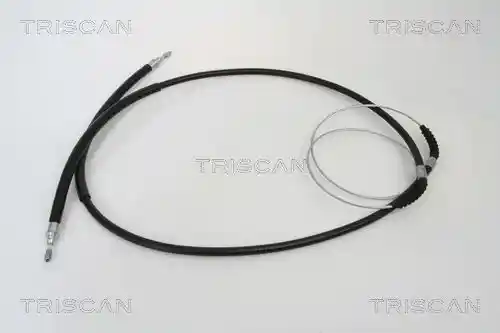 TRISCAN 8140 10131