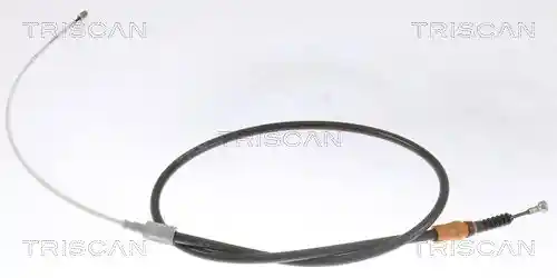 TRISCAN 8140 10133
