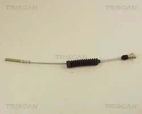TRISCAN 8140 13110 TRISCAN 8140 13110