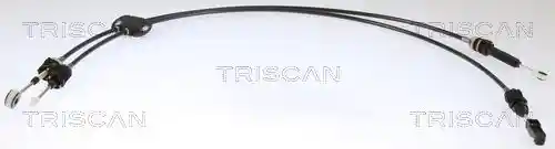 TRISCAN 8140 16716